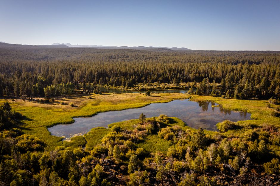 A stunning aerial view of a tranquil lake surrounded by lush forest in Oregon, USA.